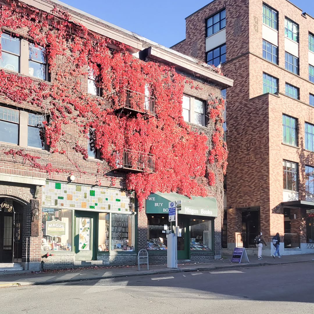 On rainy days such as these, curling up with a good book is a cozy pass time. Down the street, find Magus Books, a store filled with novels from cook books to historical fiction. Your interests are all covered. Feel free to stop by, browse, and come back home to HERE Seattle with a new good read.\n\n