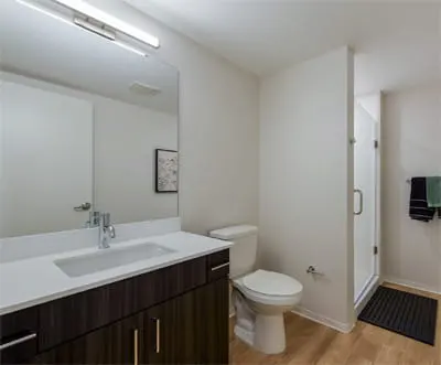 Student 4 Bedroom Apartments