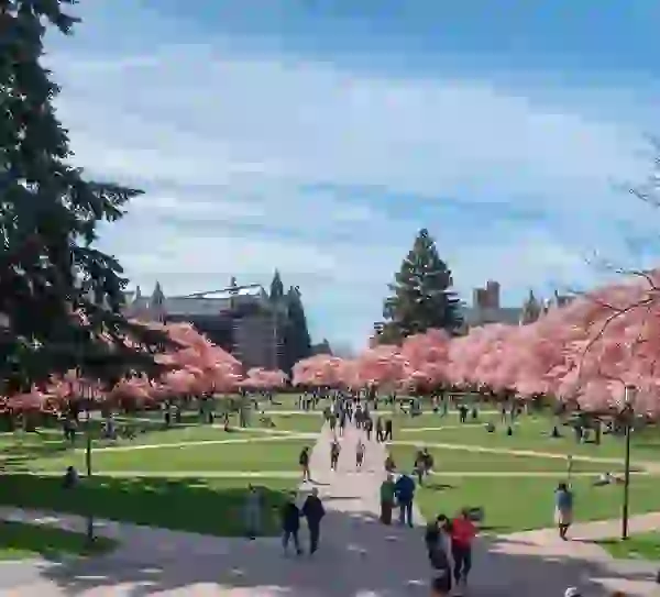 HERE Pittsburgh is walkable to University of Pittsburgh