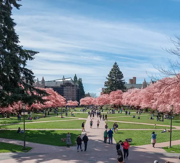 HERE Pittsburgh is walkable to University of Pittsburgh